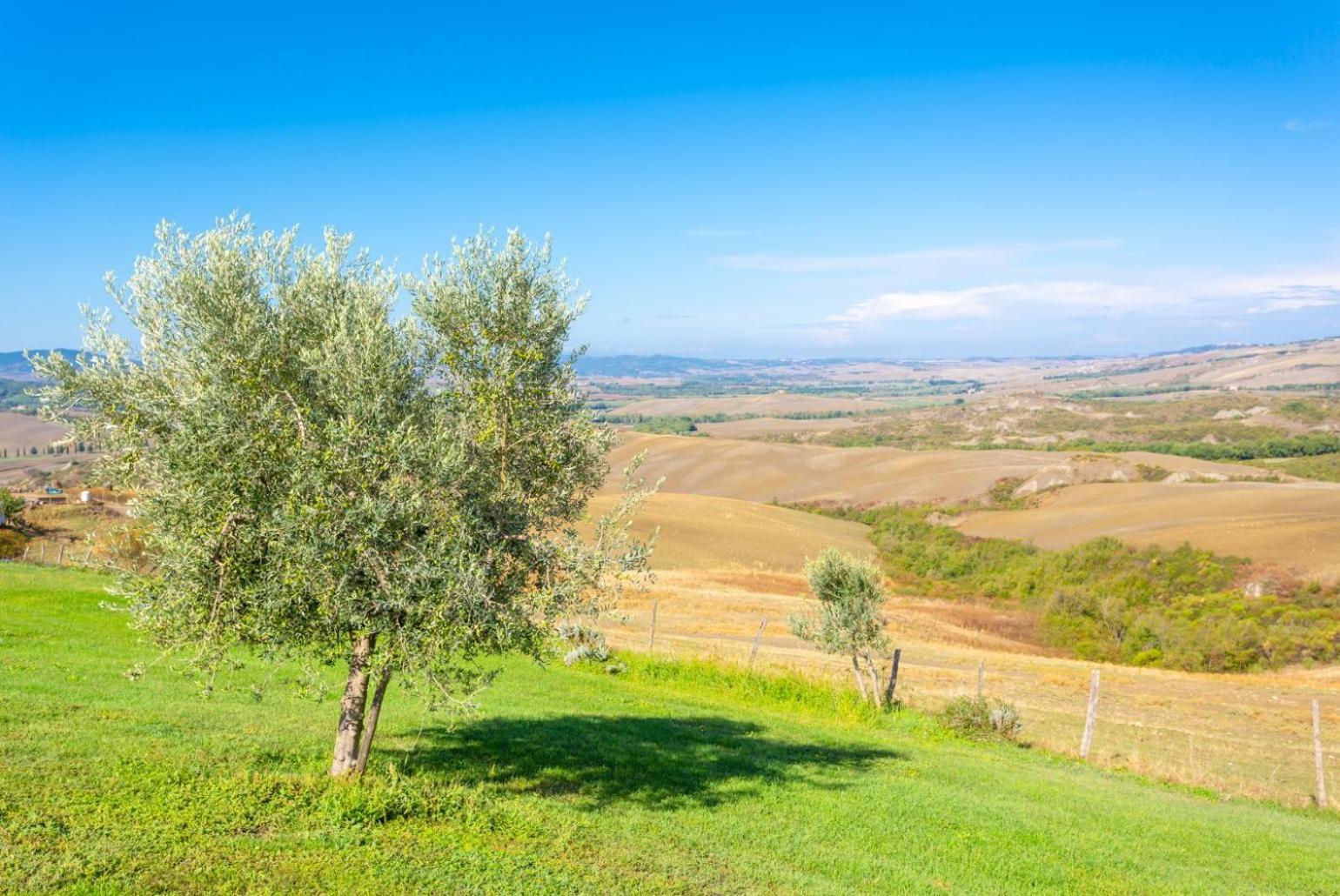 Villa Podere Belvedere シエーナ エクステリア 写真